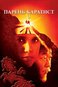  Парень-каратист 3 
